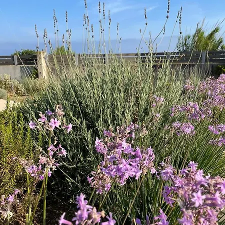 Lagoon View * Lefkáda
